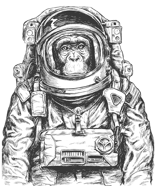 space-monkey